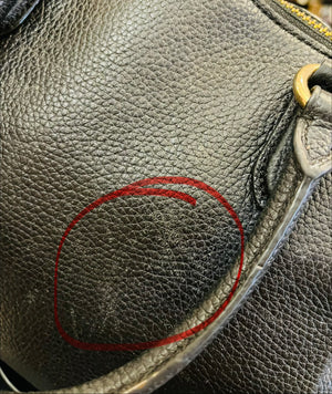 COACH Elise Leather Crossbody Bag with Handles (Some Wear)