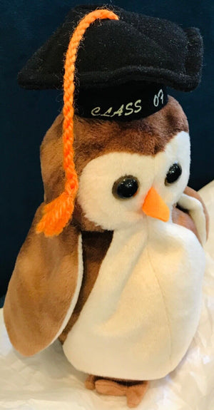 TY Beanie Baby WISE THE OWL Class of ‘98 Protected Tag W BIRTHDAY USED