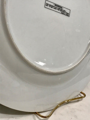The Great Seal of The U.S.A. AMERICA Decorative Plate 10” Excellent CONDITION!